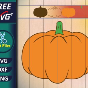 Pumpkin SVG Free