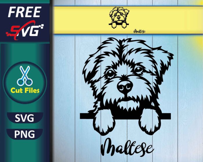 Maltese dog SVG Free, Dog Breeds Head SVG