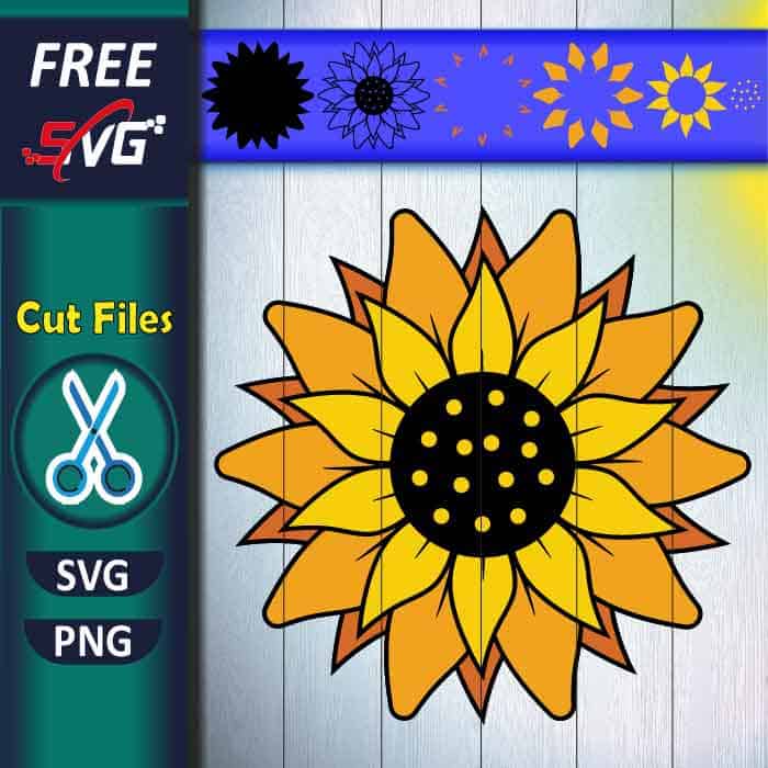 <strong>Sunflower SVG Free for Cricut.</strong> Free download PNG | SVG files for Cricut, Silhouette Cameo, or Brother Scan N Cut.