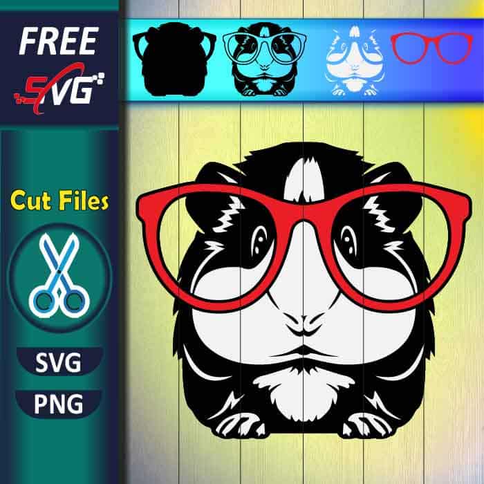 Guinea Pig SVG free for Cricut, guinea pig with glasses SVG free